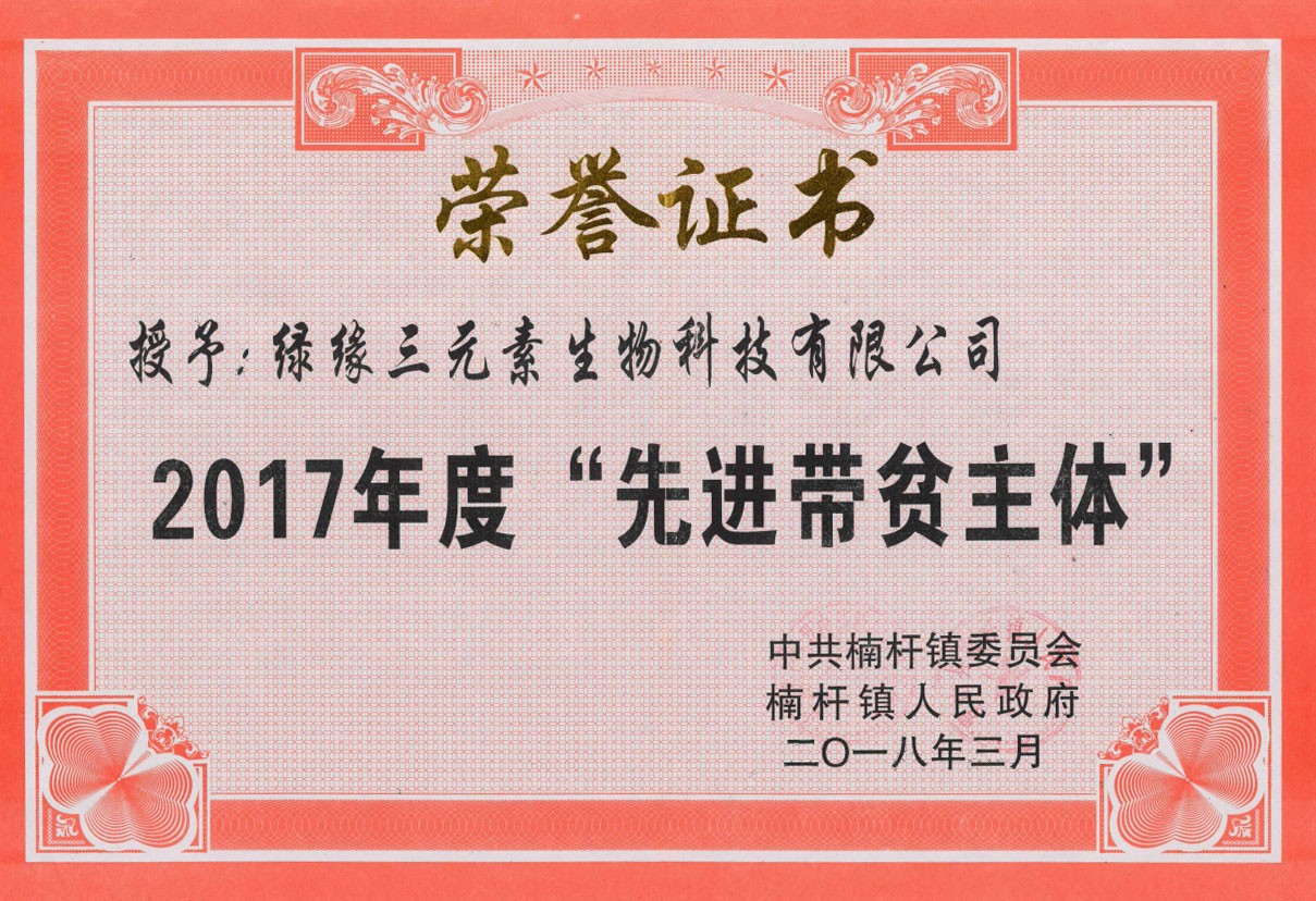 2017年度“先進帶貧主體”